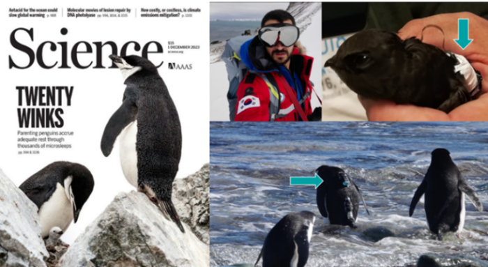 Science Magasine